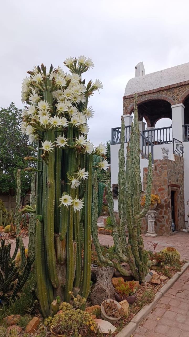 Villa Contessa Beaufort West Kültér fotó